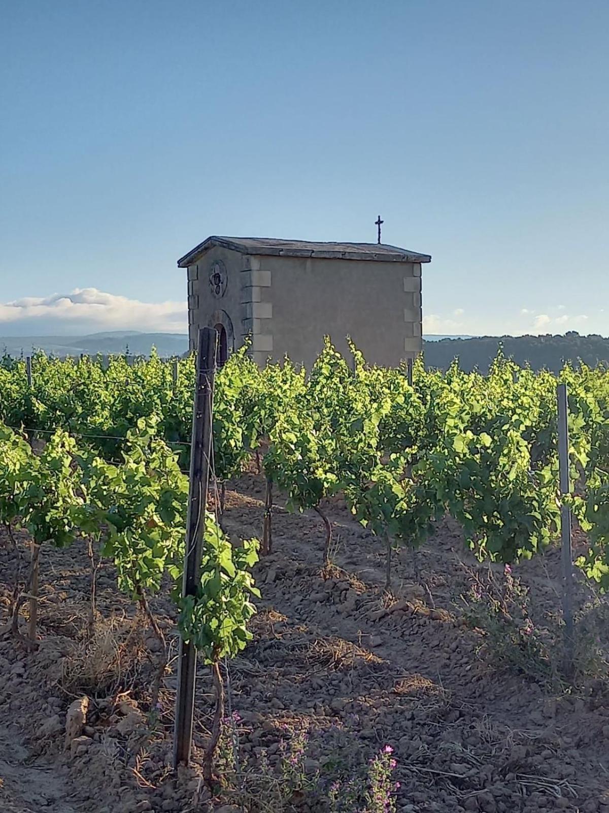Domaine Saint Augustin Villa Rieux-Minervois Exteriör bild