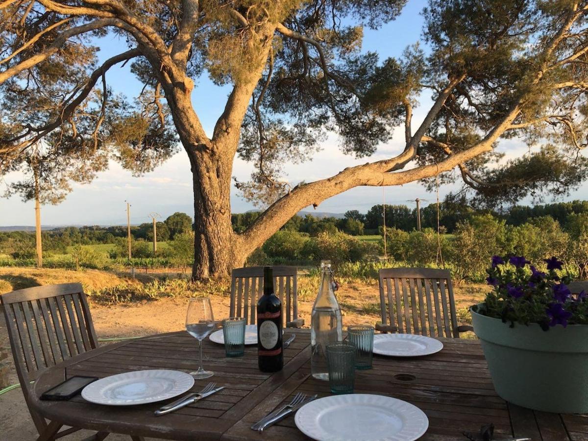 Domaine Saint Augustin Villa Rieux-Minervois Exteriör bild