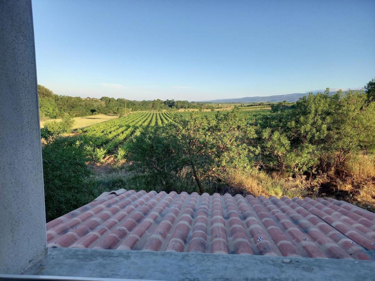 Domaine Saint Augustin Villa Rieux-Minervois Exteriör bild