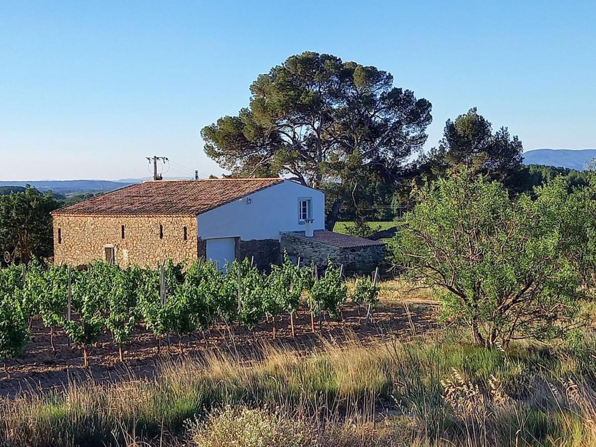 Domaine Saint Augustin Villa Rieux-Minervois Exteriör bild